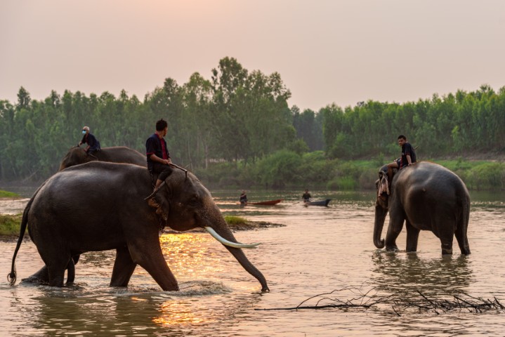 สุรินทร์